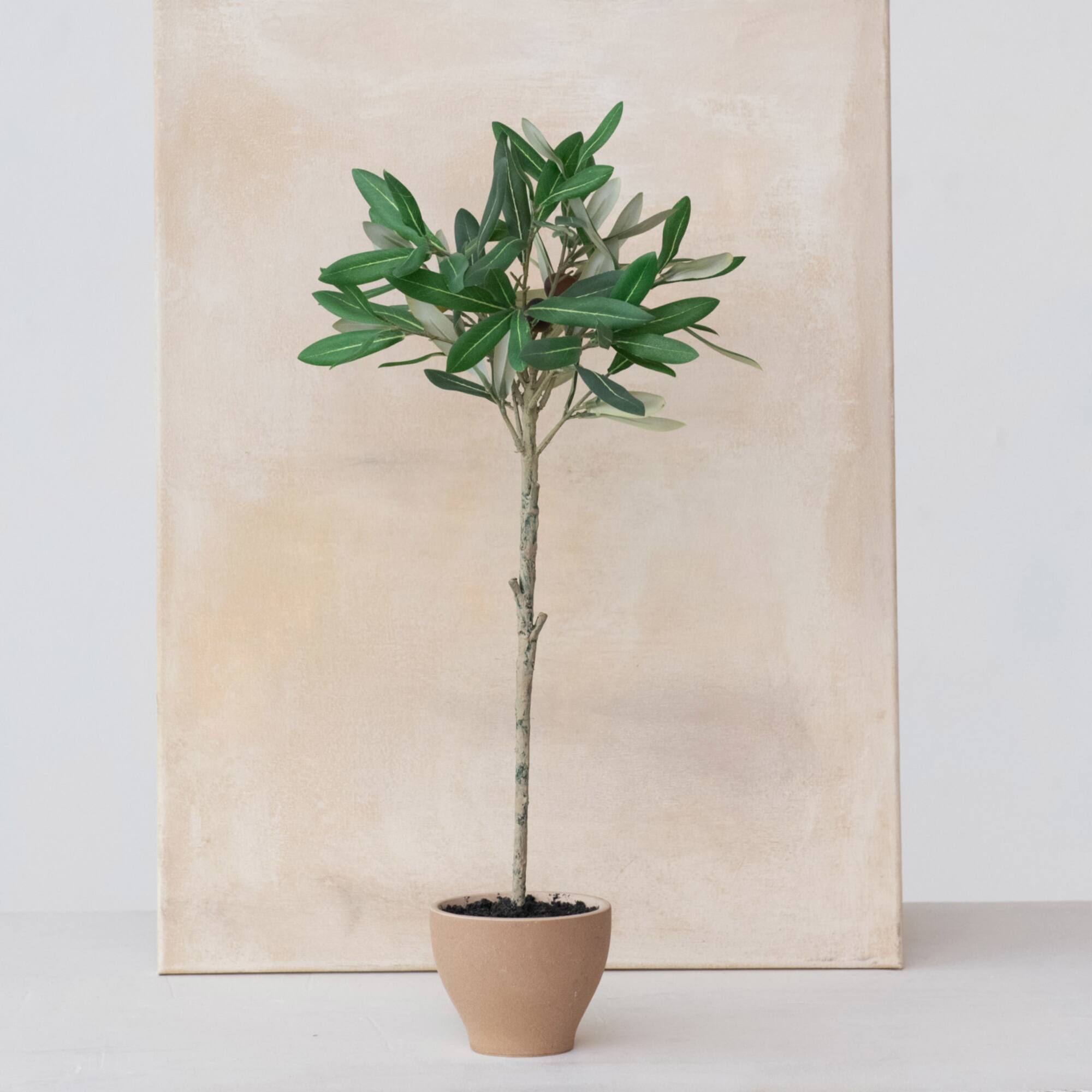 Hello Honey® 20.75" Evergreen Faux Olive Topiary Tree in Dolomite Pot